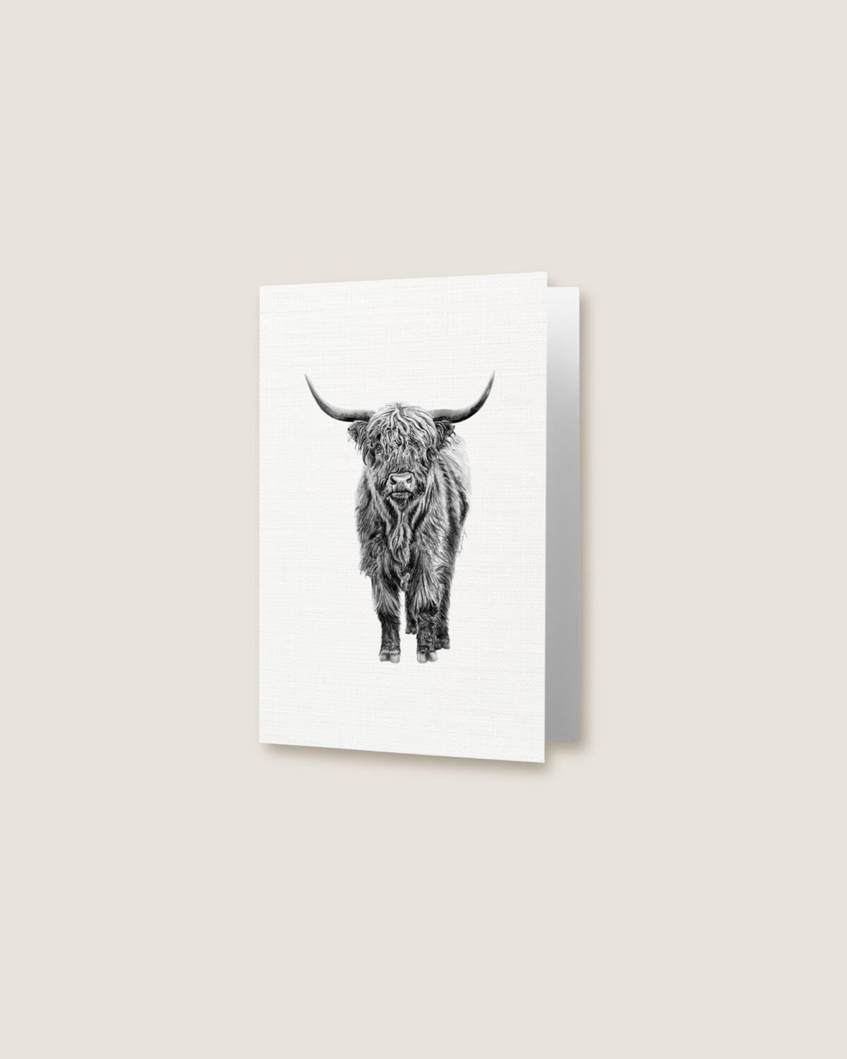 Highland Cow - Greeting Card - Image 3