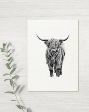 Highland Cow - Greeting Card