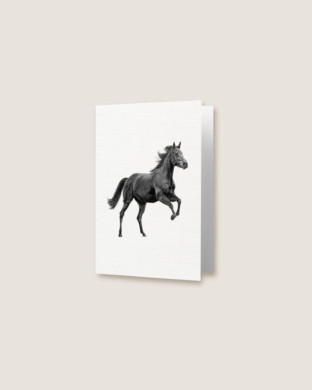 Horse - Greeting Card - Image 3