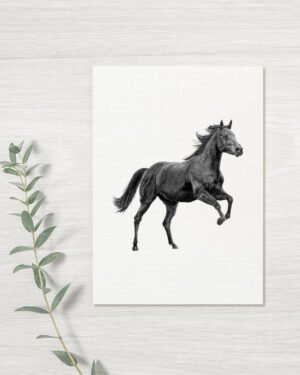 Horse - Greeting Card