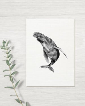 Humpback - Greeting Card