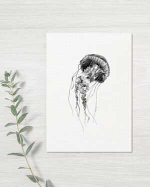 Jellyfish - Greeting Card