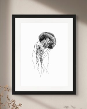 Jellyfish - Art Print