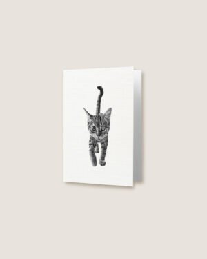 Kitten - Greeting Card - Image 2