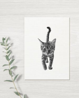 Kitten - Greeting Card