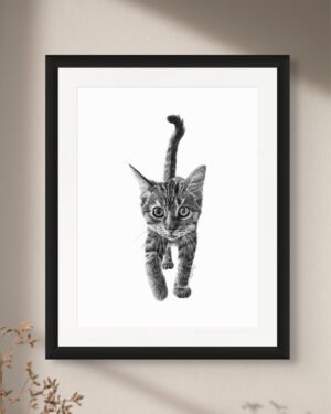 Kitten - Art Print