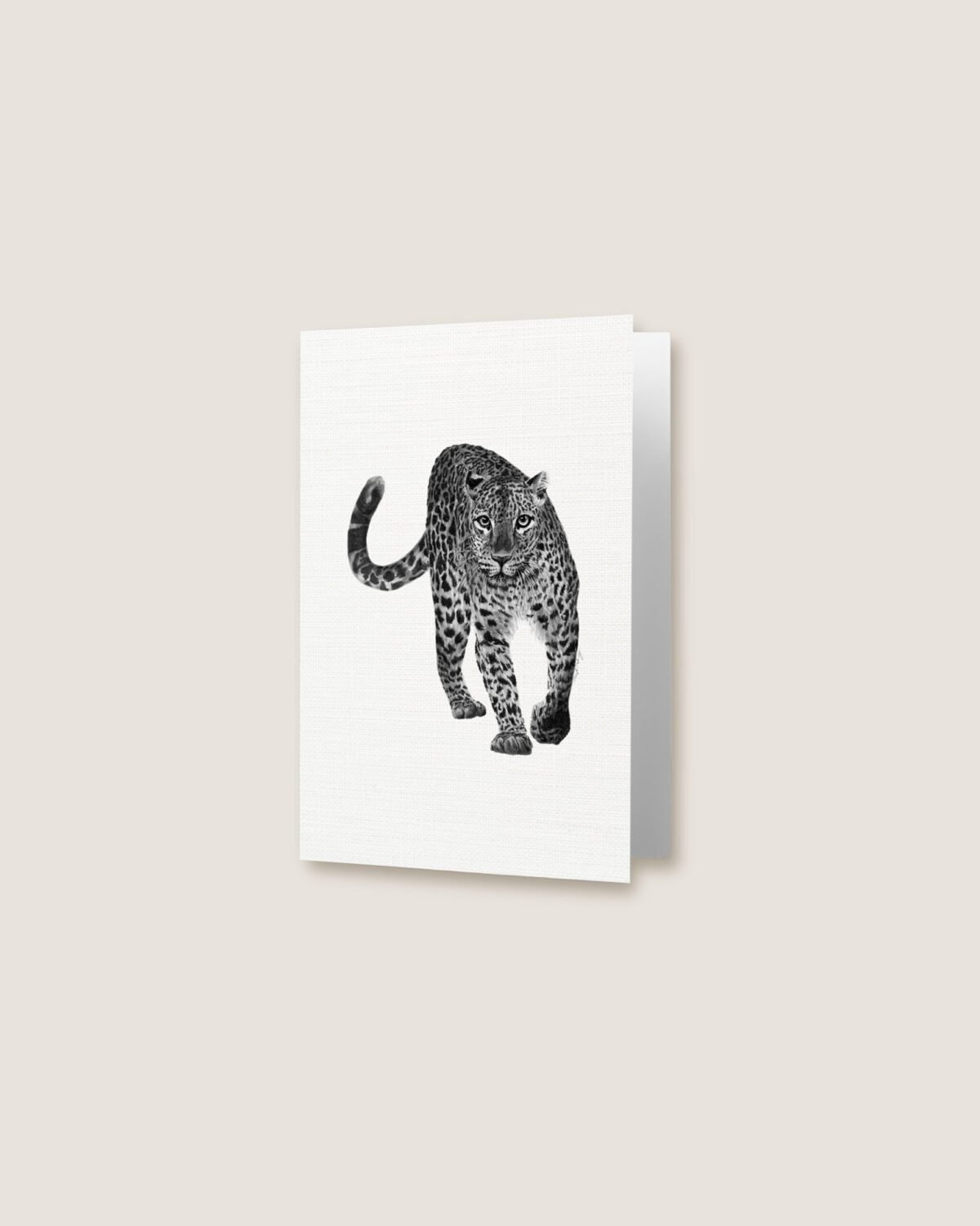 Leopard - Greeting Card - Image 3