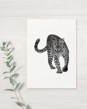 Leopard - Greeting Card