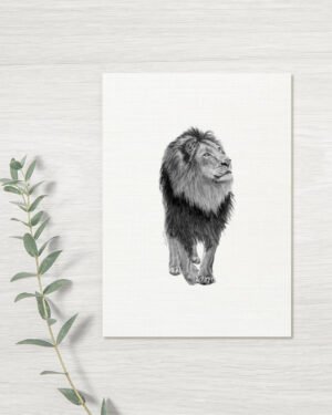 Lion - Greeting Card