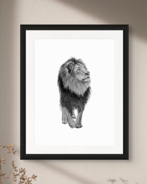 Lion - Art Print