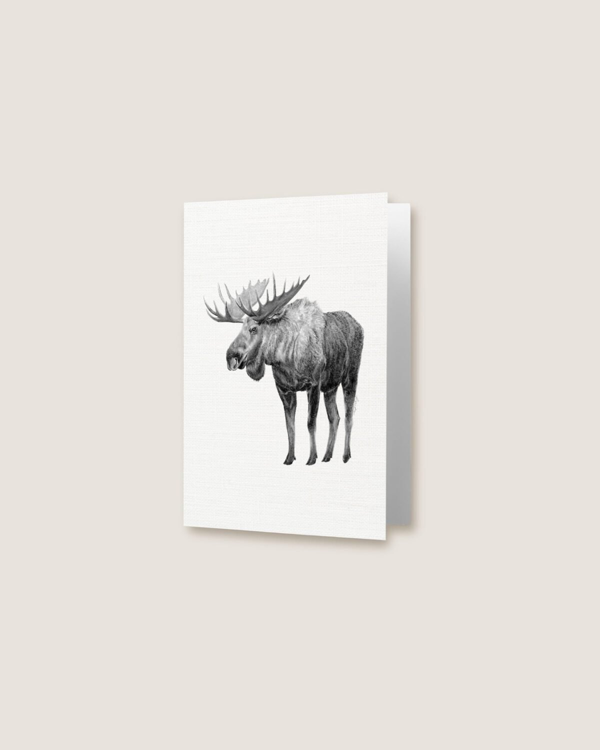 Moose - Greeting Card - Image 3