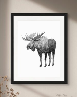 Moose - Art Print