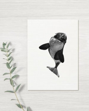 Orca - Greeting Card