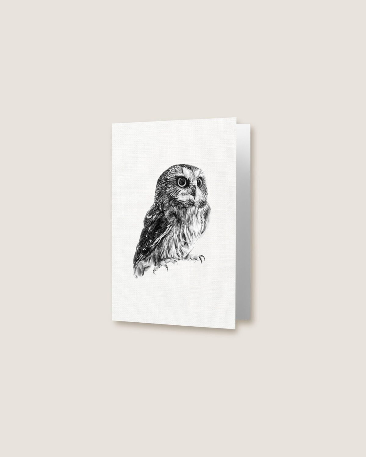 Owl - Greeting Card - Image 3