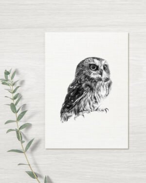 Owl - Greeting Card