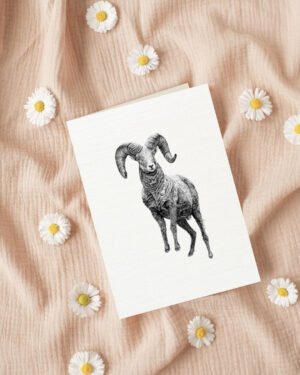 Ram - Greeting Card - Image 5