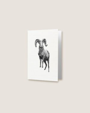 Ram - Greeting Card - Image 2