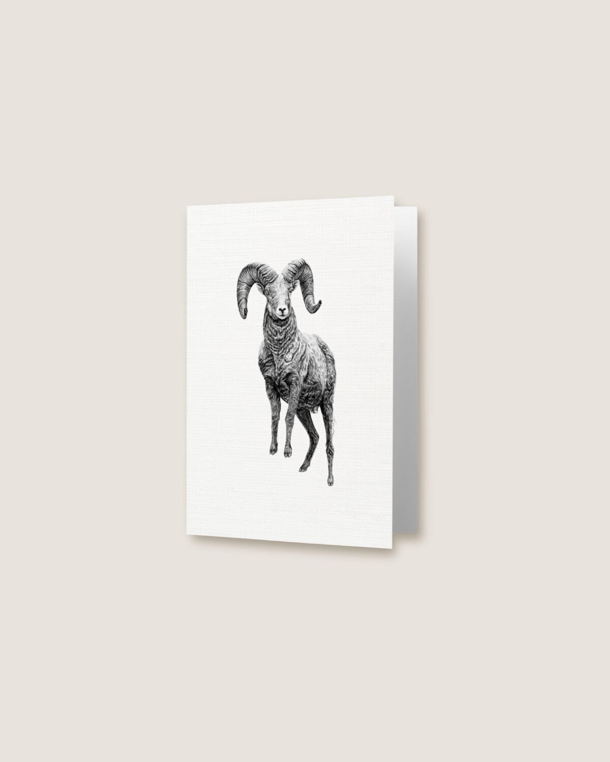 Ram - Greeting Card - Image 3