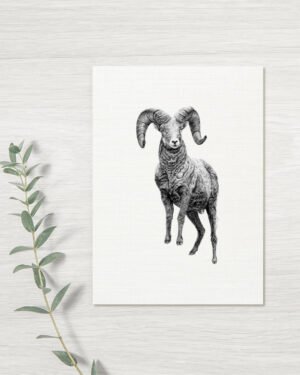 Ram - Greeting Card