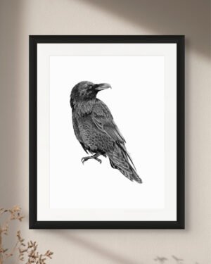 Raven - Art Print