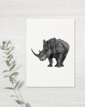 Rhino - Greeting Card