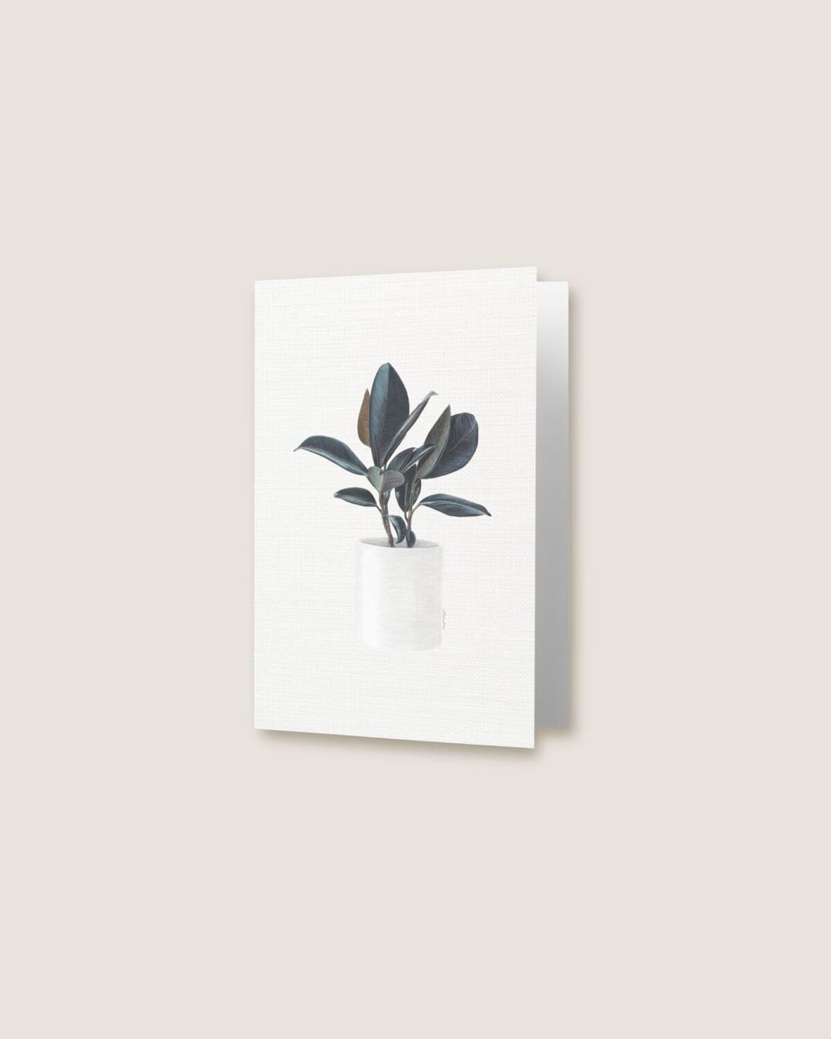 Rubber Plant - Greeting Card - Image 3