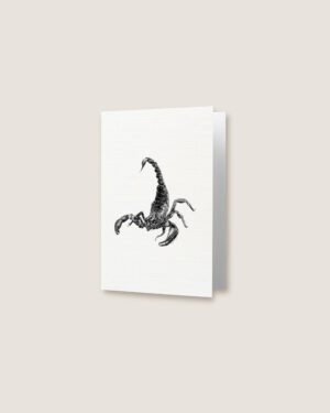 Scorpion - Greeting Card - Image 2