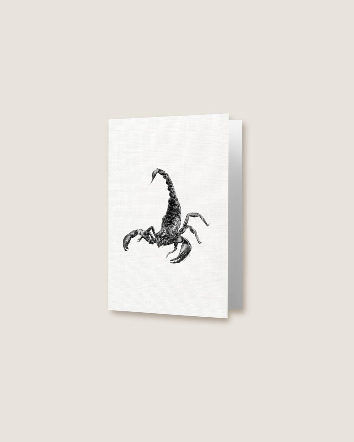 Scorpion - Greeting Card - Image 3
