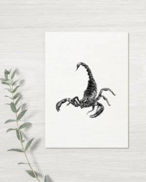 Scorpion - Greeting Card