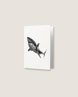 Shark - Greeting Card - Image 2