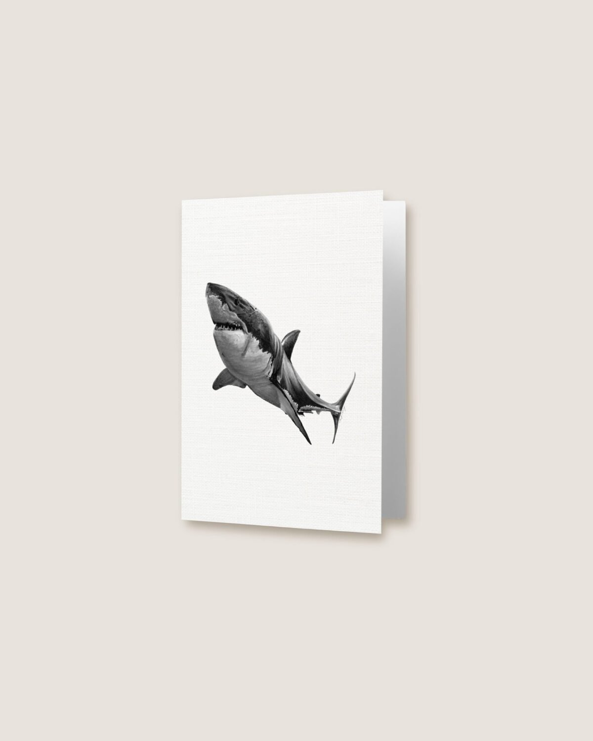 Shark - Greeting Card - Image 3