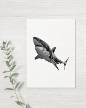 Shark - Greeting Card