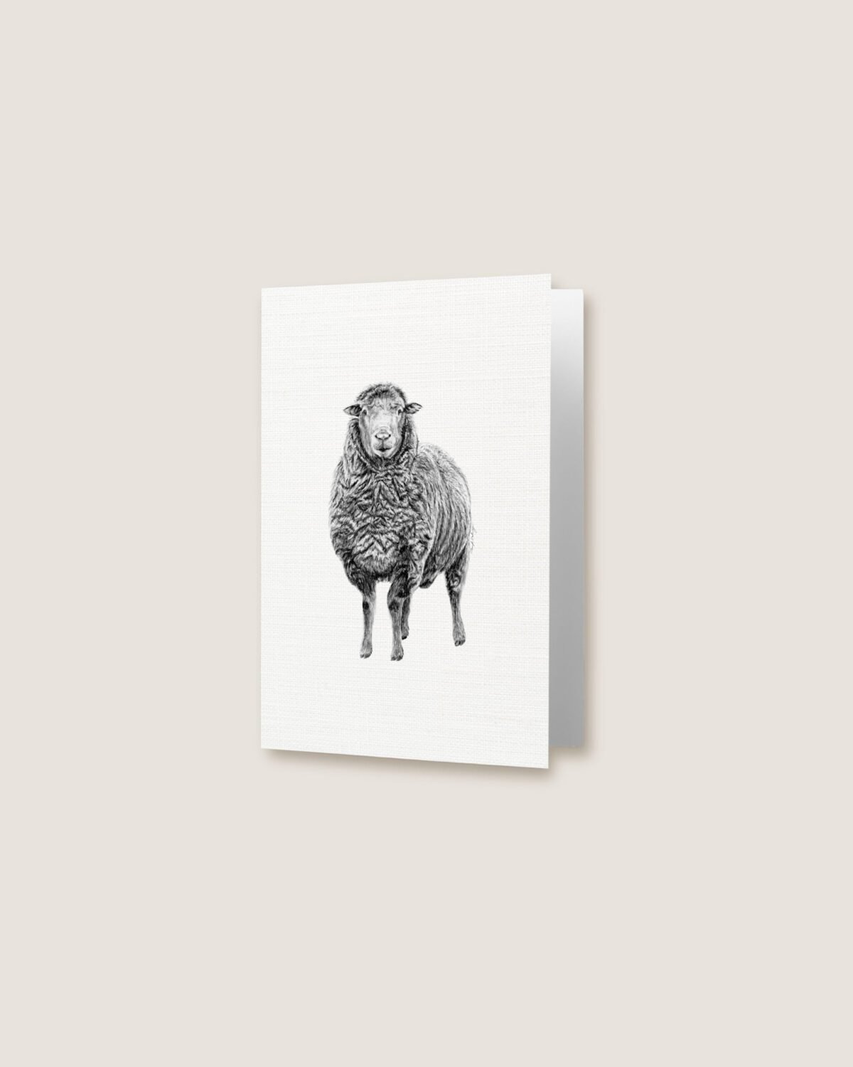 Sheep - Greeting Card - Image 3