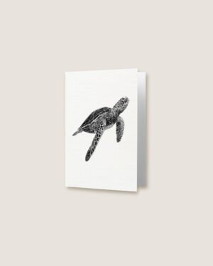 Turtle - Greeting Card - Image 2