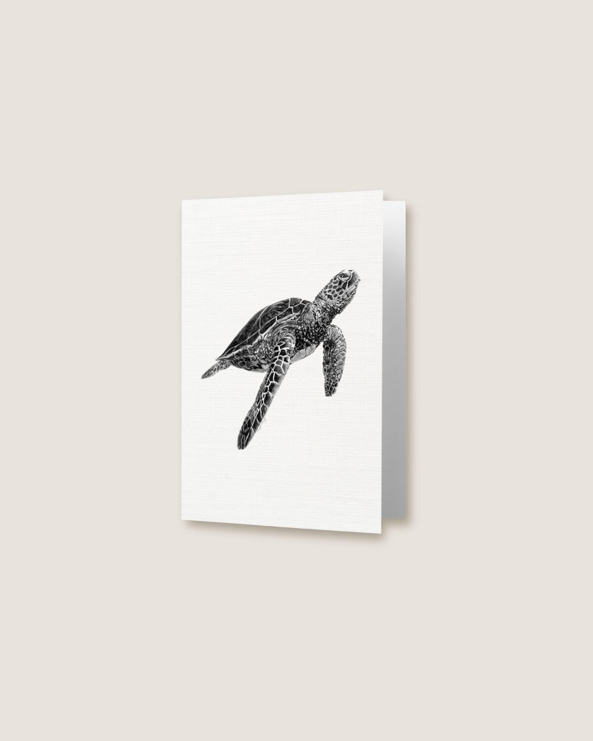 Turtle - Greeting Card - Image 3