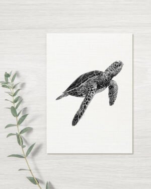 Turtle - Greeting Card