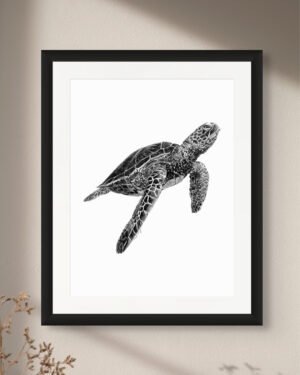 Turtle - Art Print