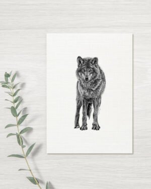 Wolf - Greeting Card