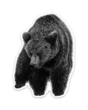 Bear Magnet - Image 2