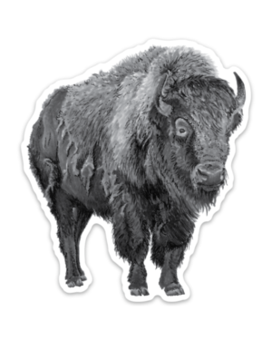 Bison Magnet - Image 2