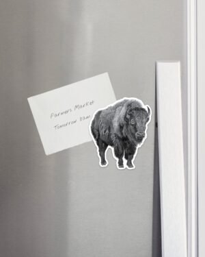 Bison Magnet