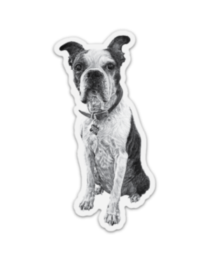 Boston Terrier Magnet - Image 2