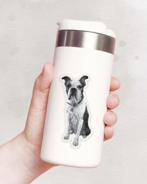 Boston Terrier Sticker