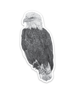 Eagle Magnet - Image 2