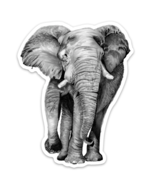 Elephant Magnet - Image 2