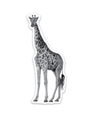 Giraffe Magnet - Image 2