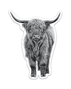 Highland Cow Magnet - Image 2