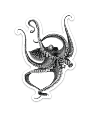 Octopus Magnet - Image 2