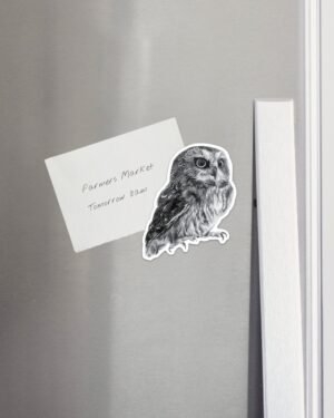 Owl Magnet