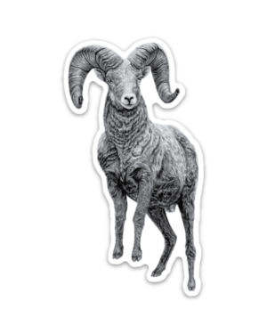 Ram Magnet - Image 2